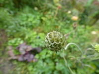 P1530203.webp