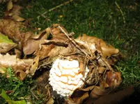 024_1067x800.webp