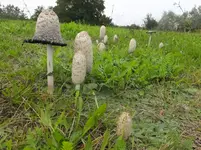 DSCF9162.webp
