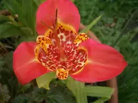 P9240476.webp