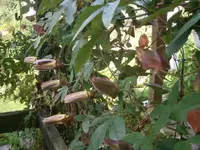 P9250480.webp
