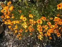 P9250483.webp