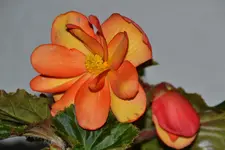 DSC_8160.webp