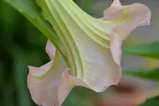 DSC_8045.webp