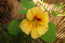 DSCF3445.webp