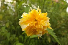 DSCF3443.webp