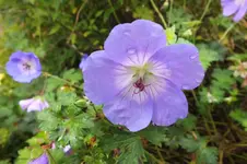 DSCF3421.webp