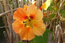 DSCF3436.webp