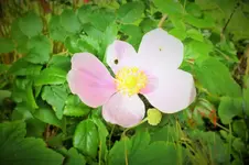 DSCF3429 (3).webp