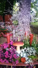 05_DSC_0085.webp