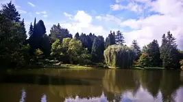 06_DSC_0087.webp