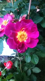 07_DSC_0083.webp