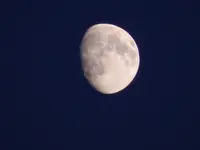 DSCN9740.webp