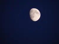 DSCN9745.webp