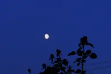 DSCN9774.webp