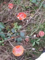 001_576x768.webp