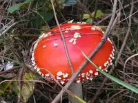 004_1024x768.webp