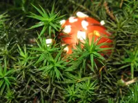 008_1024x768.webp