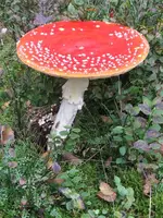 010_576x768.webp