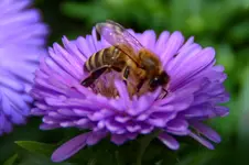 DSC_5609a.webp
