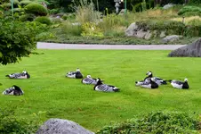 0095-Bei Dehner.webp