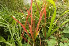 DSCF3491.webp