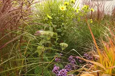 DSCF3472.webp