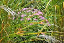 DSCF3481 (2).webp