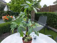 DSCF9153.webp