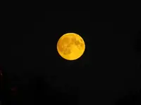 DSCF9205.webp