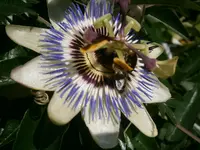 P9260503.webp