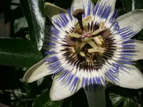 P9270504.webp