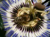 P9270505.webp