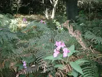 P9270514.webp