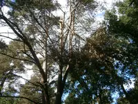 P9270519.webp