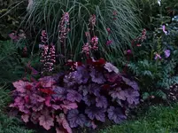hchr2015 (9).webp