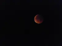 P1530727.webp