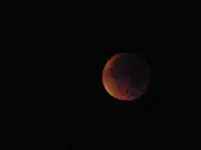 P1530728.webp