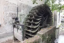 DSCF3502.webp