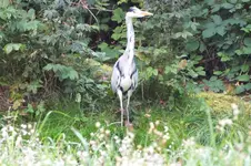 DSCF3517.webp