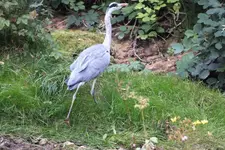 DSCF3522.webp