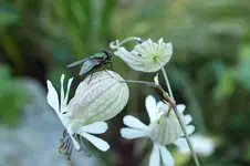 DSCF3495.webp