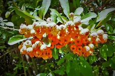 DSCF3514 (2).webp