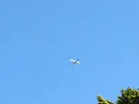 IMG_4778v - Copy.webp