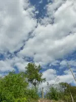 P1530416.webp