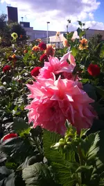 IMG-20150927-WA0003.webp