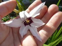 P1530344.webp