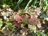 P1530440.webp