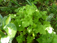 P1530470.webp