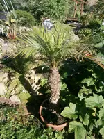 P9280531.webp